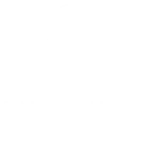 Animation événementielle à La Réunion – Empreinte Animation